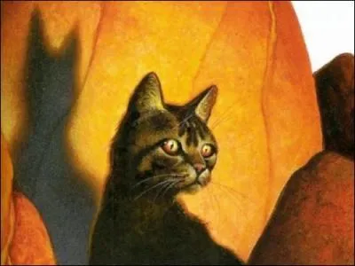 Maintenant le compagnon de cette dernire :