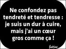 Un peu de franais  prsent : tendresse et tendret sont des :