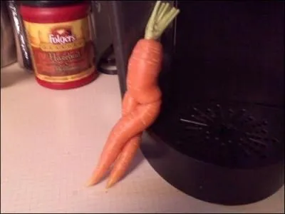 Comment s'appelle Miss France 2013 ?