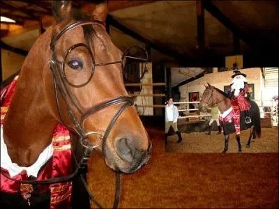 Dans laquelle de ces trois sries voit-on le policier Rick Grimes sur un cheval ?