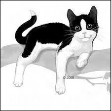 A qui ce chat vous fait-il penser ?