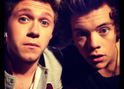 Quiz Harry Styles et Niall Horan