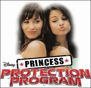 Quel est le nom de ce film ?