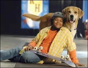 Quel est le nom de ce film ?