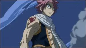 O Natsu porte-t-il l'emblme de Fairy Tail ?