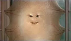 Lady Cassandra est-elle ne comme a ? (Photo)