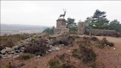 Bond s'enfuira plus tard dans le film dans le manoir Skyfall, proprit familiale o il a grandi. Il retrouvera d'ailleurs le garde-chasse de la famille, Kincade. O se situe ce manoir ?