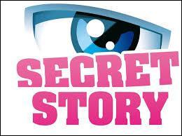 Quiz Secret story