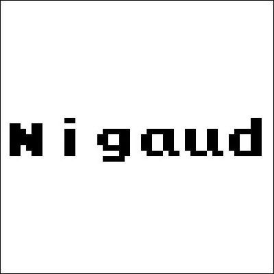 Parfait. A prsent, dans quel jeu vido pouvons-nous trouver cette police ?