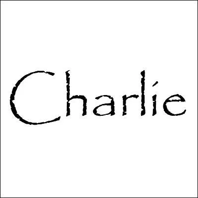 Voici une criture dite  en script . Quel est son joli nom ?