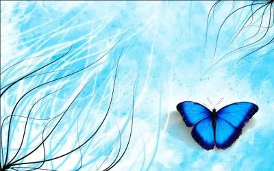 Dans quel pays se droule l'mission ?