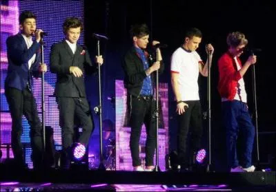 Quel est le nom de leur tourne qui aura lieu en 2014 ?