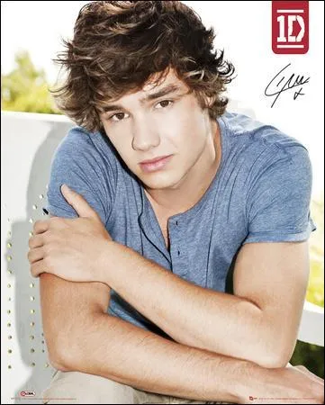 O est n Liam Payne ?
