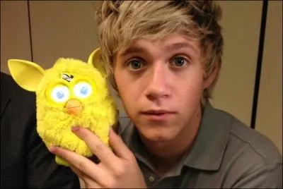 Qui est ce membre des One Direction sur la photo ?