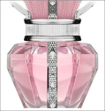 Comment s'appelle leur nouveau parfum ?