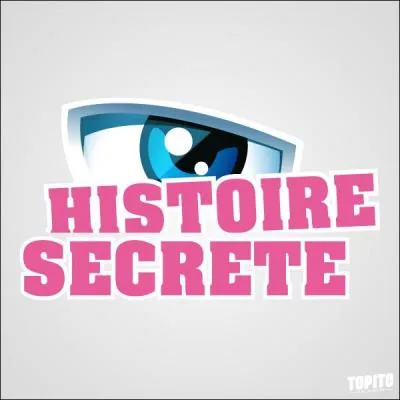 Combien y a-t-il eu de saisons de Secret Story ? (2013)