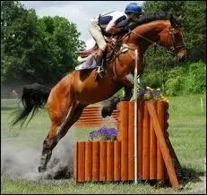 En obstacle, laquelle de ces rponses est fausse ? 