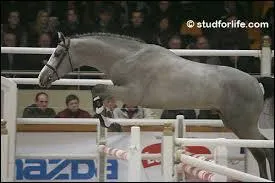 Lequel de ces obstacles ne se franchit que dans un seul sens ?