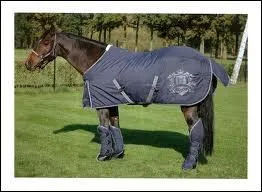 Je suis une protection de transport et je suis attache au fourreau de queue grce  une sangle. Que suis-je ?