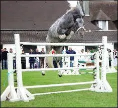 Qu'est-ce qu'un contre-haut ?