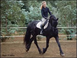 Quiz Galop 4