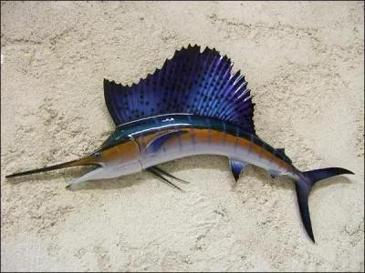 Le poisson le plus rapide du monde, atteint les 110 km/h , qui est-il ?