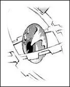 Combien existe-t-il de types d'Innocence ?