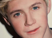 Quiz Niall Horan - One Direction