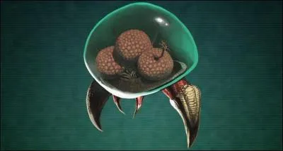 Et enfin, qu'est-ce que ceci ?