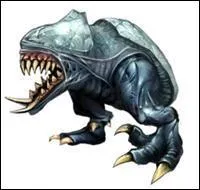 Quel est le nom de ce  petit monstre  ?