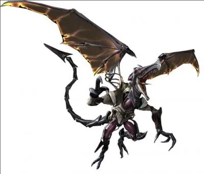 Trouvez le nom de ce  dragon  :