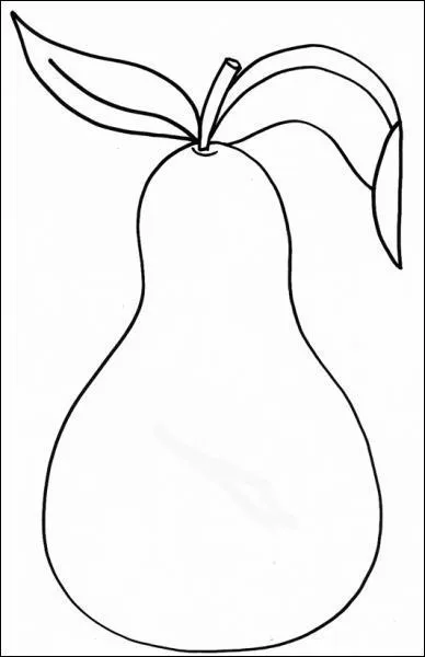 Comment appelle t-on ce fruit?