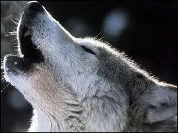 Plus compliqu : quelle est sa date d'apparition sur terre ?