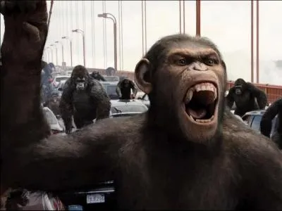 Sur quel clbre pont de San Francisco les singes combattent les policiers, guids par leur chef Csar ? Sur le...