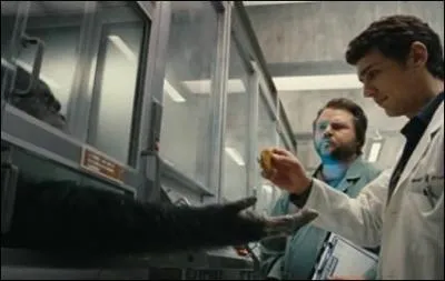 Aprs des annes d'tudes, il parvient  laborer une solution qui semblerait fournir aux chimpanzs une intelligence cognitive dpassant l'imagination. Pourtant, lors de la prsentation de ce virus novateur, le cobaye principal, s'vade, sme la panique dans la compagnie et est finalement abattu dans la salle de runion. Quel est son nom ?