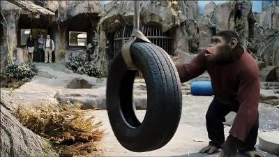 Will cre une forme plus puissante de rtrovirus, et obtient l'autorisation d'effectuer de nouvelles expriences sur des chimpanzs. Cependant, son collgue Franklin dcouvrira  ses dpens la toxicit du virus pour les hommes. Qui va voler deux de ces flacons ?