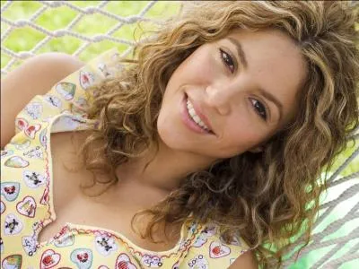 Quelles sont ses activits principales ?