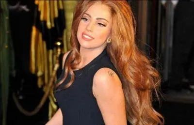 Quel est son genre musical ?