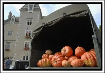 Quel est ce film trs populaire o le destin d'un peintre en btiment incarn par Bourvil va croiser celui d'un chef d'orchestre jou par de Funs, en pleine seconde guerre mondiale ?