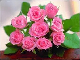 La reine des fleurs .