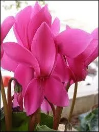 Manque de confiance en soi.