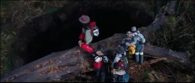 Qui a ralis 'The Descent' ?