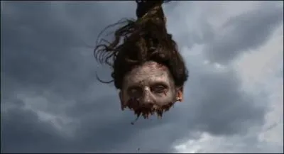 Qui a ralis 'Diary of the dead' ?