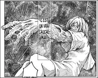 A quel manga correspond cette image ?