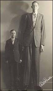 Robert Pershing Waldow serait le plus grand homme de l'histoire. Quelle taille aurait-il atteint ?