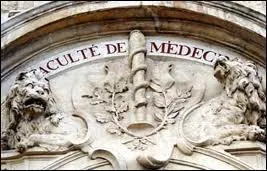 L'enseignement au lit du malade, qui aujourd'hui est un axe important des tudes mdicales, a dbut au Xe sicle de notre re. Quelle civilisation en est l'instigatrice ?