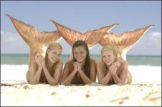 En quel  animal  aquatique se transforment-elles ?