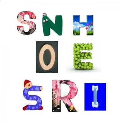 Dans le bon ordre, on trouve ...