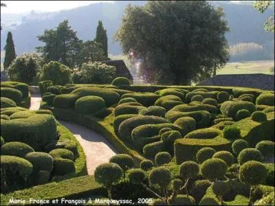 Quelle est cette plante sacre dont on taille les massifs, trs piquante au demeurant ?