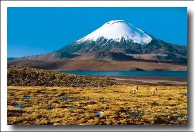 Le lieu le plus sec du monde a une pluviomtrie s'levant  0, 8 mm d'eau par an. C'est une ville appele Arica. Dans quel pays se situe cette ville ?